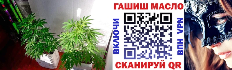 Дистиллят ТГК THC oil  цена   Шали 