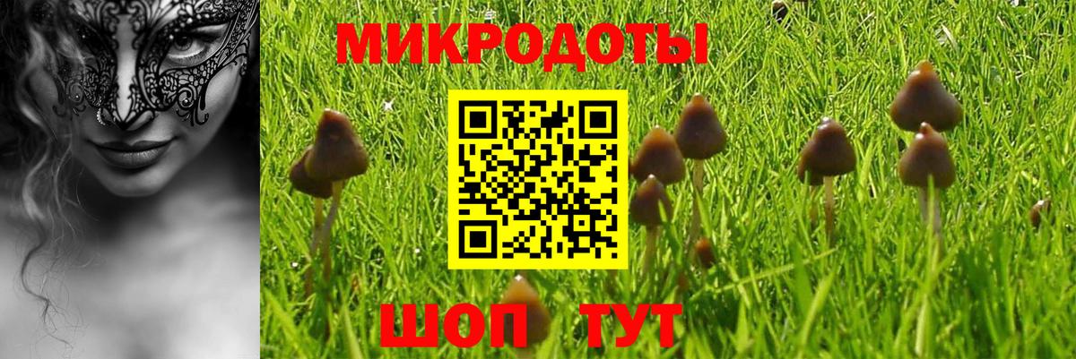 Галлюциногенные грибы прущие грибы Шали