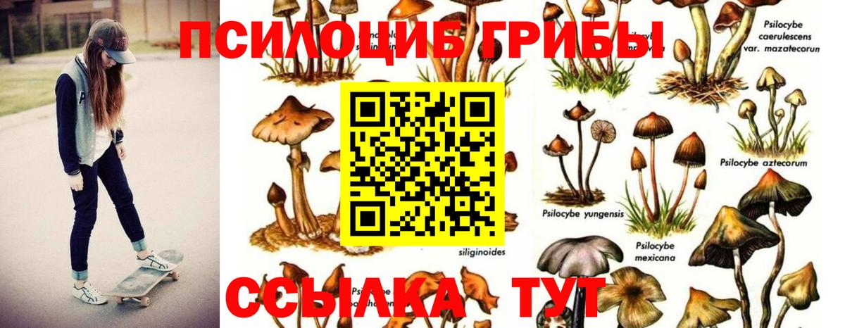 Галлюциногенные грибы мицелий  Псилоцибиновые грибы GOLDEN TEACHER  Шали  Вход с VPN 